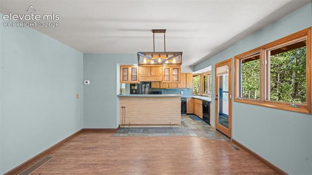 MLS Image for 506  Ridge  ,Divide, Colorado