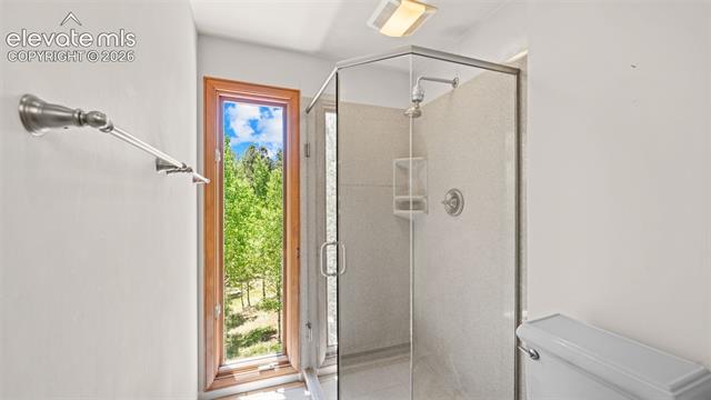 MLS Image for 506  Ridge  ,Divide, Colorado