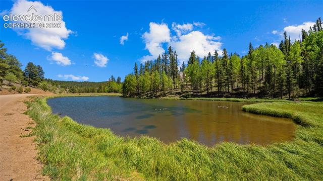 MLS Image for 506  Ridge  ,Divide, Colorado