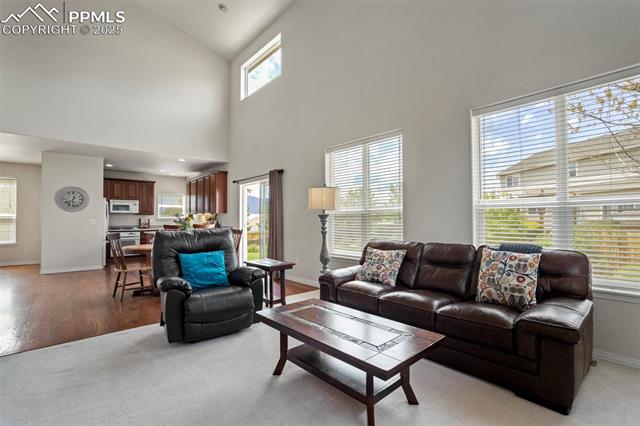 MLS Image for 14280  Barquero  ,Colorado Springs, Colorado