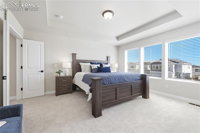 MLS Image for 13614  Nederland  ,Peyton, Colorado