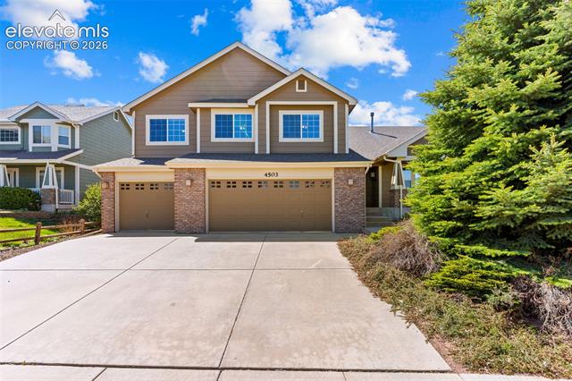 4503  Clark Fork  , colorado springs&nbsp; House Search MLS Picture
