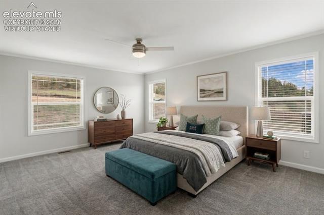 MLS Image for 740  Crystal Peak  ,Florissant, Colorado