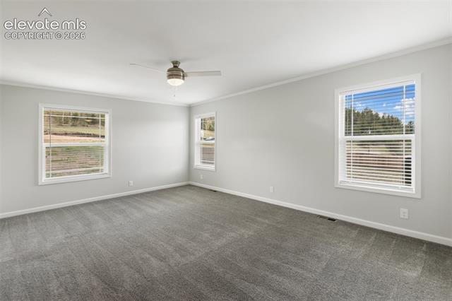 MLS Image for 740  Crystal Peak  ,Florissant, Colorado