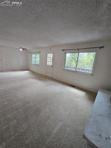 MLS Image for 832  Spring Valley  ,Divide, Colorado