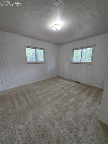 MLS Image for 832  Spring Valley  ,Divide, Colorado