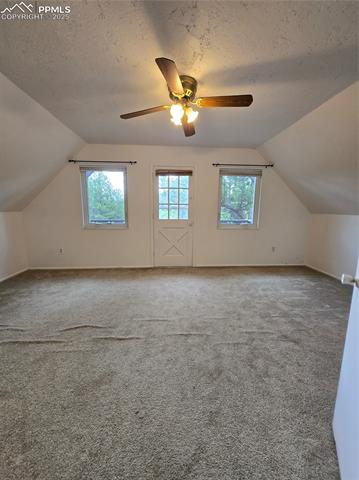 MLS Image for 832  Spring Valley  ,Divide, Colorado