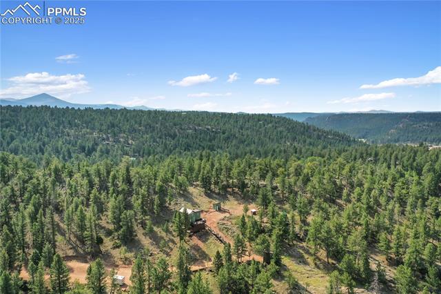 MLS Image for 85  Terrace  ,Florissant, Colorado