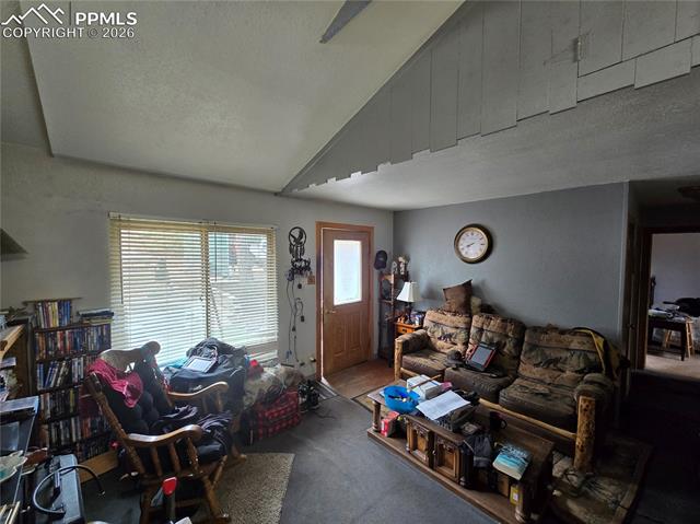 MLS Image for 855  Will Stutley  ,Divide, Colorado