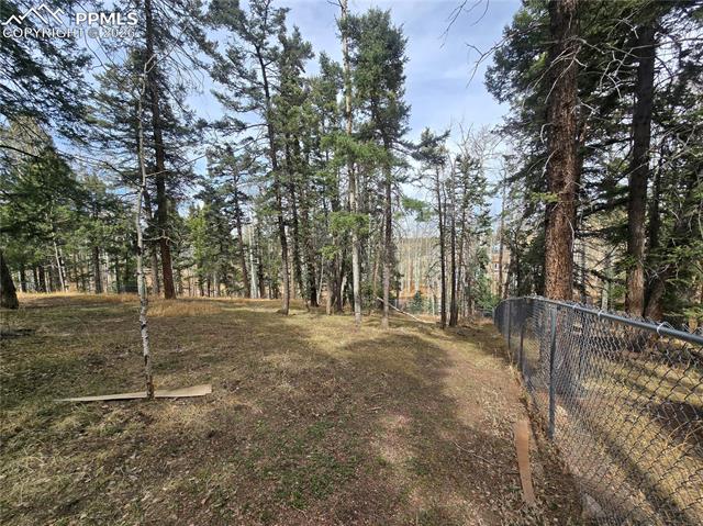 MLS Image for 855  Will Stutley  ,Divide, Colorado