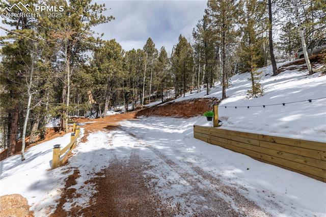 MLS Image for 577  Horseshoe  ,Divide, Colorado