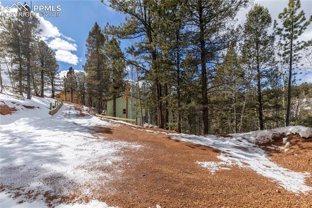 MLS Image for 577  Horseshoe  ,Divide, Colorado