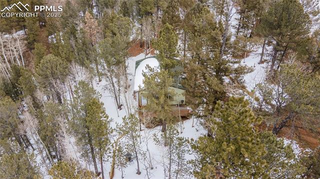 MLS Image for 577  Horseshoe  ,Divide, Colorado