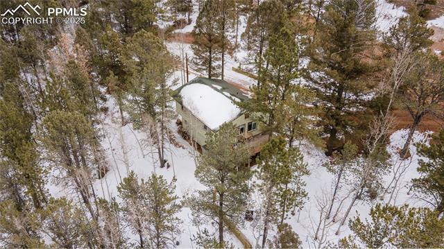 MLS Image for 577  Horseshoe  ,Divide, Colorado