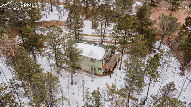 MLS Image for 577  Horseshoe  ,Divide, Colorado