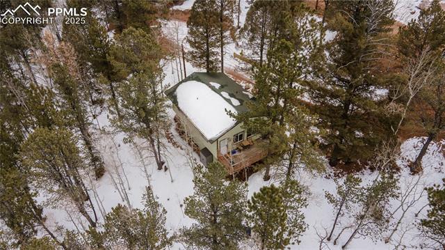 MLS Image for 577  Horseshoe  ,Divide, Colorado