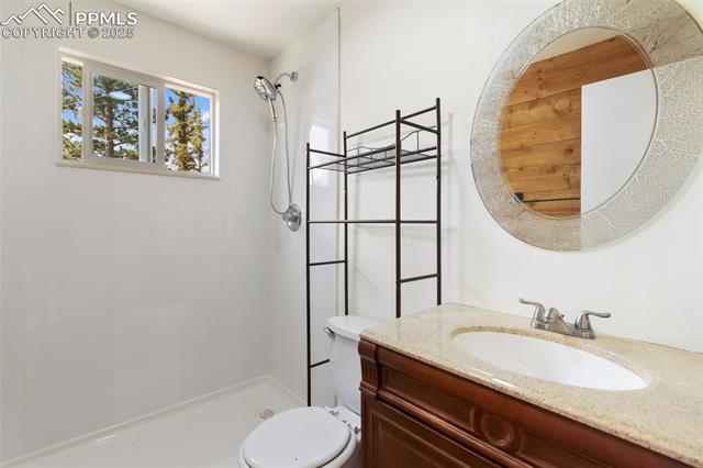 MLS Image for 413 W Lake  ,Divide, Colorado