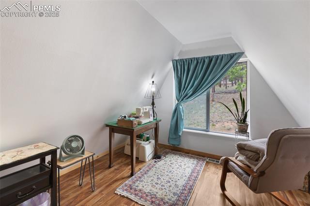 MLS Image for 413 W Lake  ,Divide, Colorado