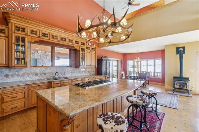 MLS Image for 15958  Shadow Mountain Ranch  ,Larkspur, Colorado