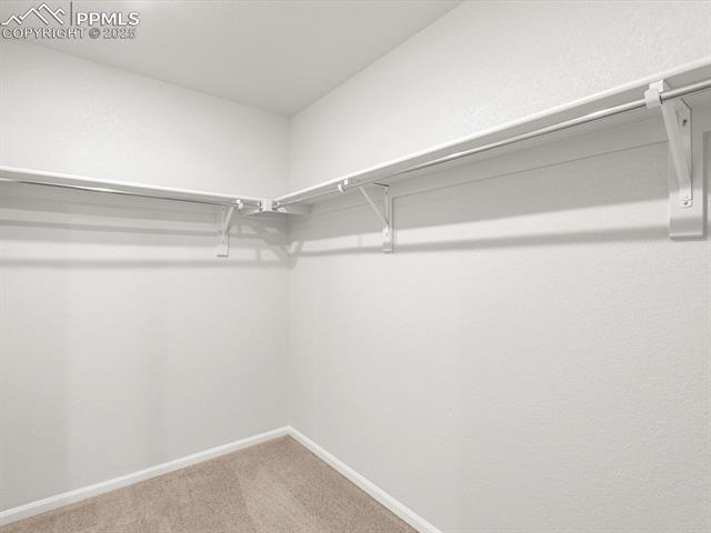 MLS Image for 11379  Pikeminnow  ,Colorado Springs, Colorado
