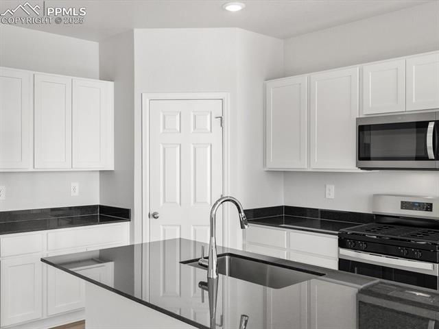 MLS Image for 11379  Pikeminnow  ,Colorado Springs, Colorado