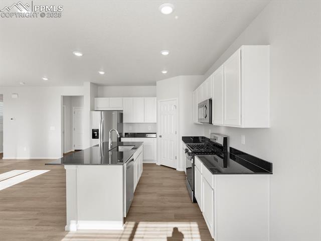 MLS Image for 11379  Pikeminnow  ,Colorado Springs, Colorado
