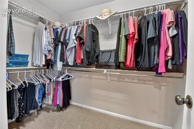 MLS Image for 8349  Colorado Spruce  ,Colorado Springs, Colorado