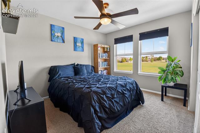 MLS Image for 8349  Colorado Spruce  ,Colorado Springs, Colorado