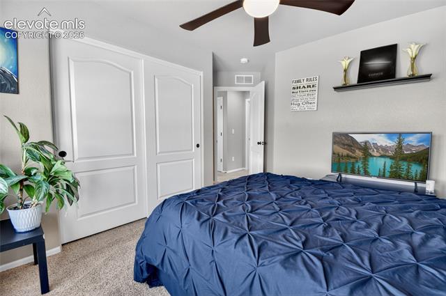MLS Image for 8349  Colorado Spruce  ,Colorado Springs, Colorado