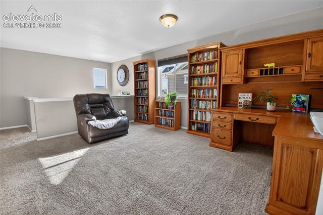 MLS Image for 8349  Colorado Spruce  ,Colorado Springs, Colorado