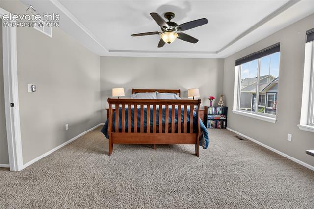 MLS Image for 8349  Colorado Spruce  ,Colorado Springs, Colorado