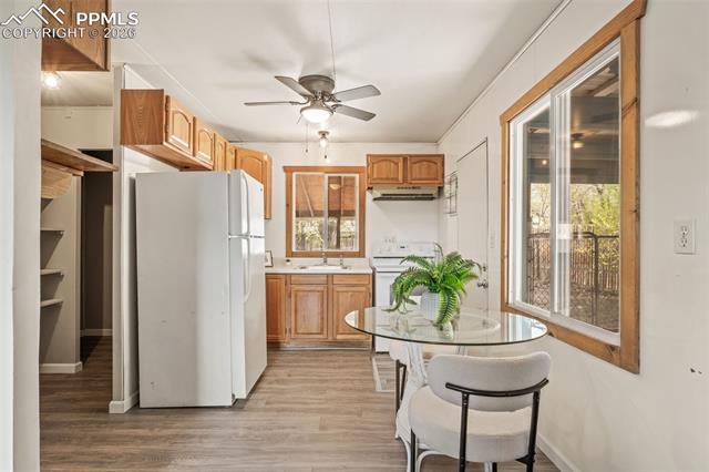 MLS Image for 409  Burlington  ,Colorado Springs, Colorado