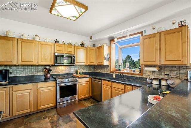 MLS Image for 55  Badger Lake  ,Divide, Colorado