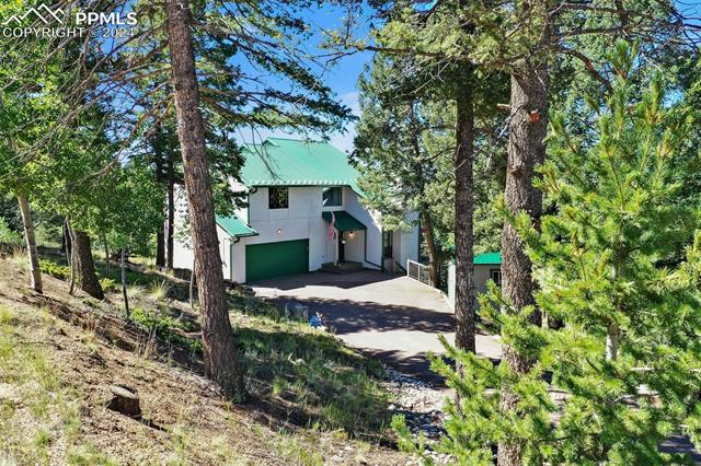 MLS Image for 55  Badger Lake  ,Divide, Colorado