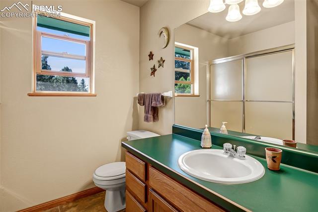 MLS Image for 55  Badger Lake  ,Divide, Colorado