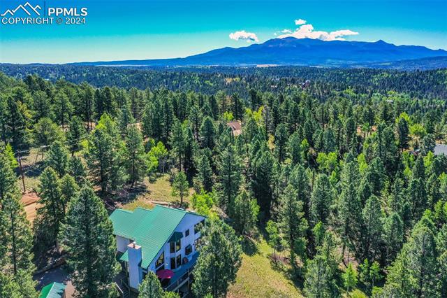 MLS Image for 55  Badger Lake  ,Divide, Colorado