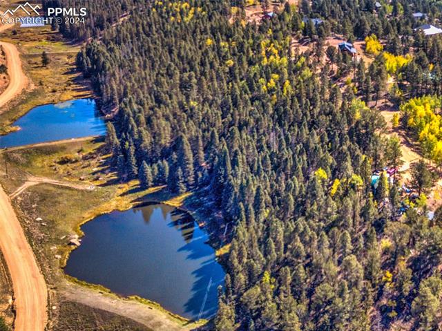 MLS Image for 55  Badger Lake  ,Divide, Colorado