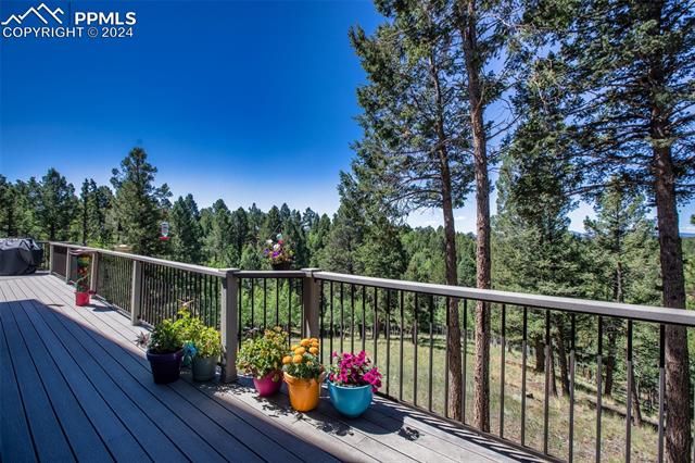 MLS Image for 55  Badger Lake  ,Divide, Colorado