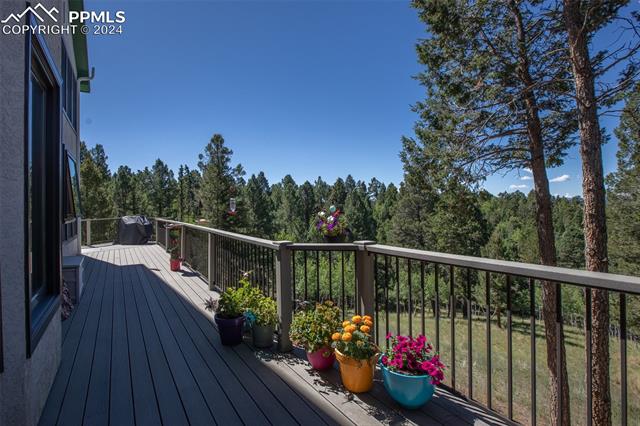 MLS Image for 55  Badger Lake  ,Divide, Colorado