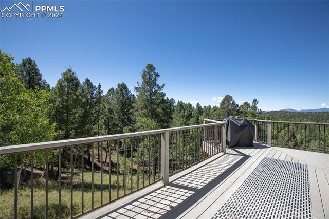 MLS Image for 55  Badger Lake  ,Divide, Colorado