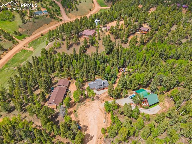 MLS Image for 127  Badger Lake  ,Divide, Colorado
