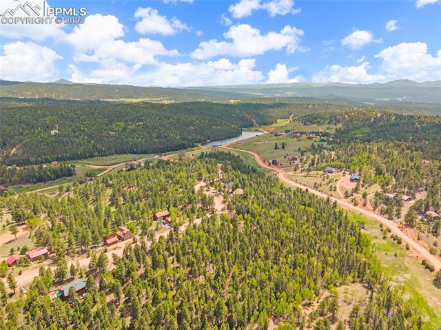 MLS Image for 127  Badger Lake  ,Divide, Colorado