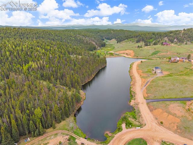 MLS Image for 127  Badger Lake  ,Divide, Colorado