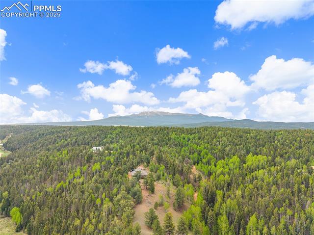MLS Image for 127  Badger Lake  ,Divide, Colorado