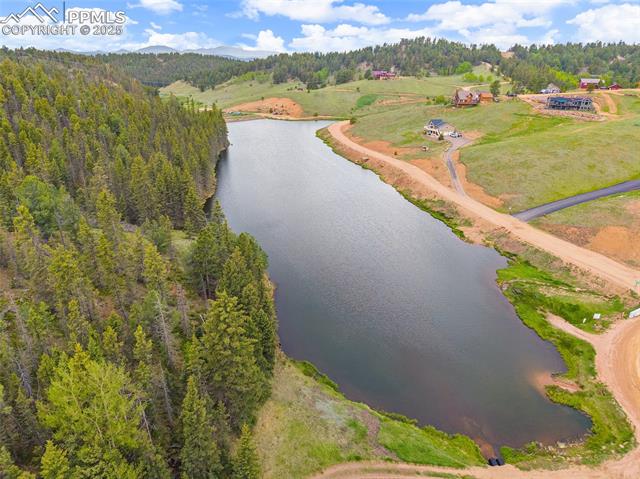 MLS Image for 127  Badger Lake  ,Divide, Colorado