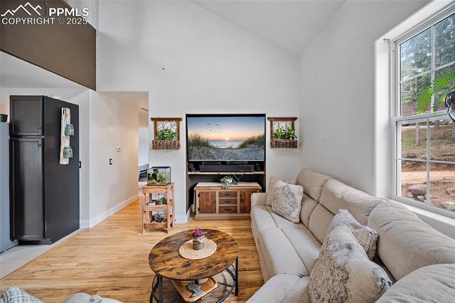 MLS Image for 127  Badger Lake  ,Divide, Colorado