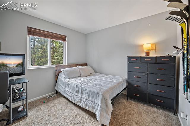 MLS Image for 127  Badger Lake  ,Divide, Colorado