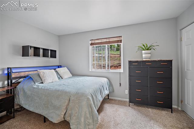 MLS Image for 127  Badger Lake  ,Divide, Colorado