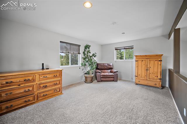 MLS Image for 127  Badger Lake  ,Divide, Colorado