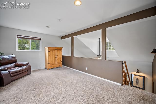 MLS Image for 127  Badger Lake  ,Divide, Colorado